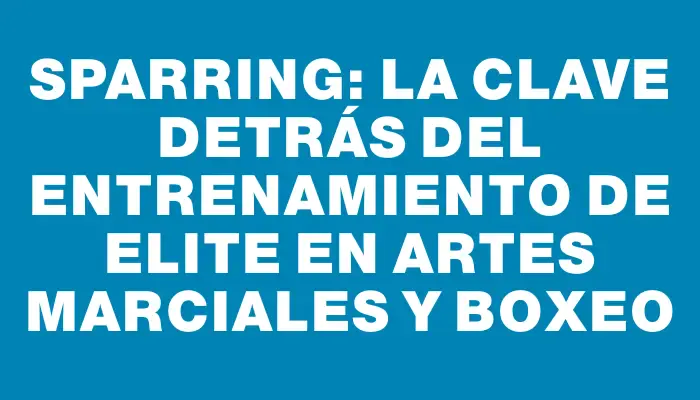 Sparring: la clave detrás del entrenamiento de elite en artes marciales y boxeo