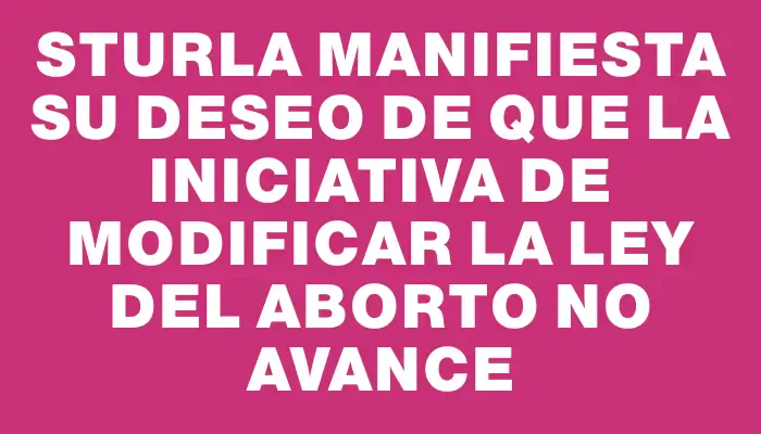 Sturla manifiesta su deseo de que la iniciativa de modificar la ley del aborto no avance