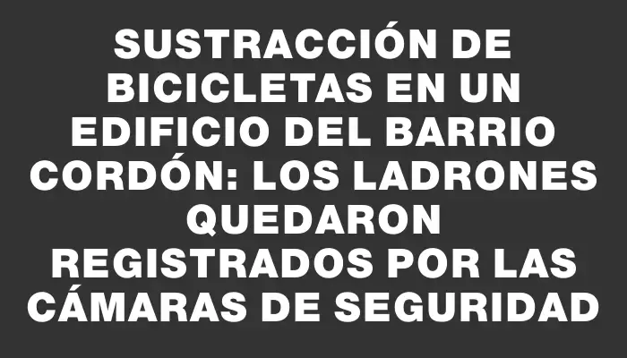 Sustracción de bicicletas en un edificio del barrio Cordón: los ladrones quedaron registrados por las cámaras de seguridad