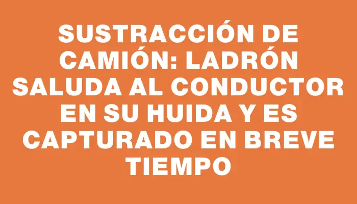 Sustracción de camión: ladrón saluda al conductor en su huida y es capturado en breve tiempo