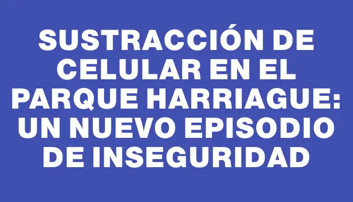 Sustracción de celular en el Parque Harriague: un nuevo episodio de inseguridad