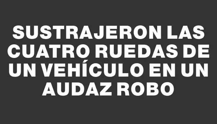 Sustrajeron las cuatro ruedas de un vehículo en un audaz robo