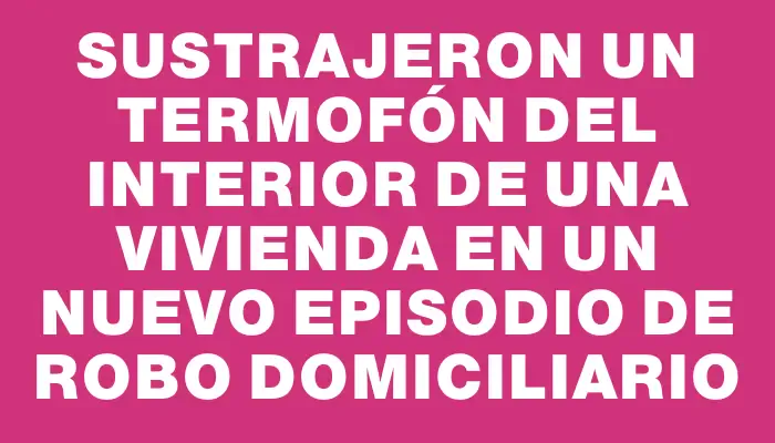 Sustrajeron un termofón del interior de una vivienda en un nuevo episodio de robo domiciliario