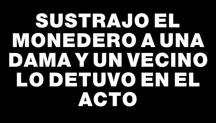 Sustrajo el monedero a una dama y un vecino lo detuvo en el acto