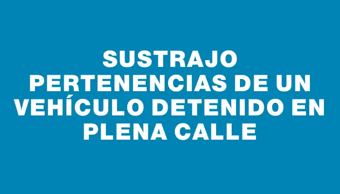 Sustrajo pertenencias de un vehículo detenido en plena calle