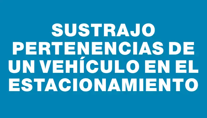 Sustrajo pertenencias de un vehículo en el estacionamiento