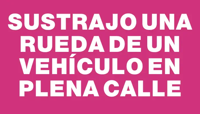 Sustrajo una rueda de un vehículo en plena calle