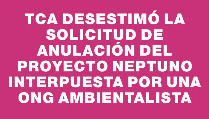 Tca desestimó la solicitud de anulación del Proyecto Neptuno interpuesta por una Ong ambientalista