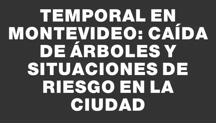 Temporal en Montevideo: caída de árboles y situaciones de riesgo en la ciudad