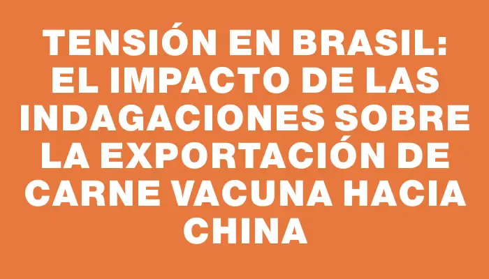 Tensión en Brasil: el impacto de las indagaciones sobre la exportación de carne vacuna hacia China