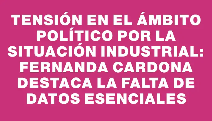 Tensión en el ámbito político por la situación industrial: Fernanda Cardona destaca la falta de datos esenciales