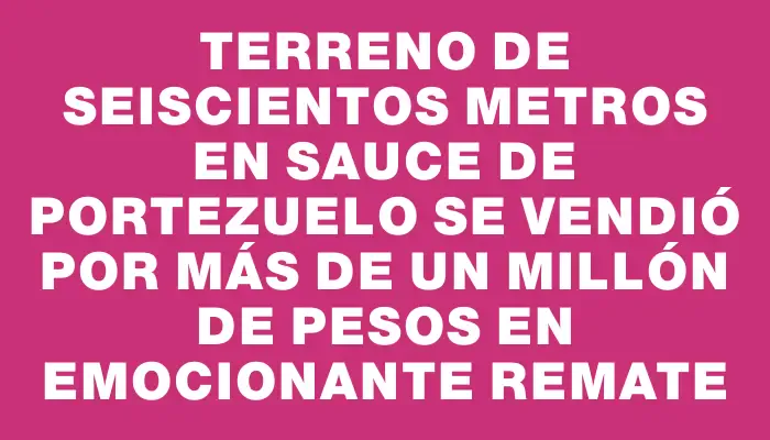 Terreno de seiscientos metros en Sauce de Portezuelo se vendió por más de un millón de pesos en emocionante remate