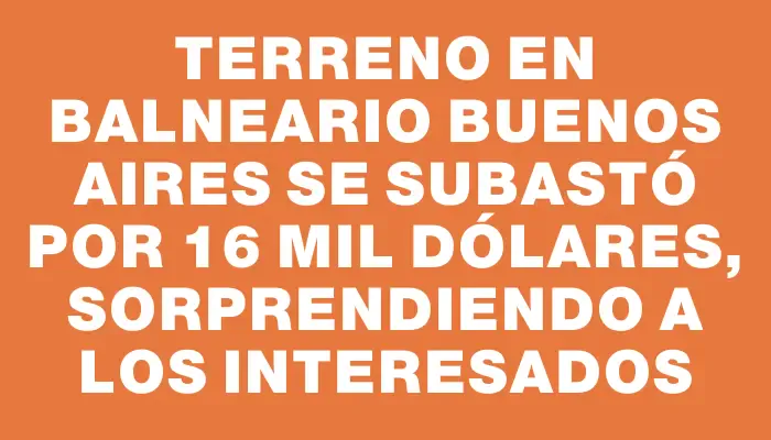 Terreno en balneario Buenos Aires se subastó por 16 mil dólares, sorprendiendo a los interesados