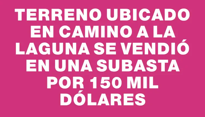 Terreno ubicado en Camino a la Laguna se vendió en una subasta por 150 mil dólares