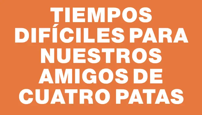 Tiempos difíciles para nuestros amigos de cuatro patas