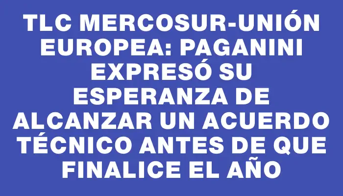 Tlc Mercosur-Unión Europea: Paganini expresó su esperanza de alcanzar un acuerdo técnico antes de que finalice el año