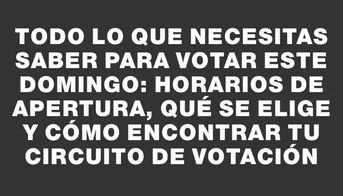 Todo lo que necesitas saber para votar este domingo: horarios de apertura, qué se elige y cómo encontrar tu circuito de votación