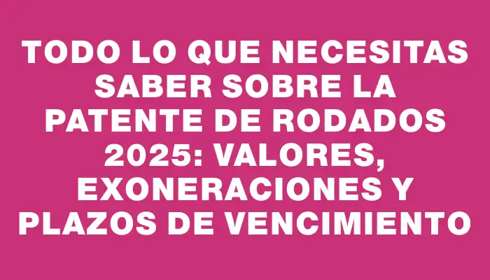 Todo lo que necesitas saber sobre la patente de rodados 2025: valores, exoneraciones y plazos de vencimiento