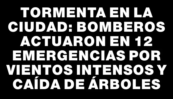 Tormenta en la ciudad: Bomberos actuaron en 12 emergencias por vientos intensos y caída de árboles