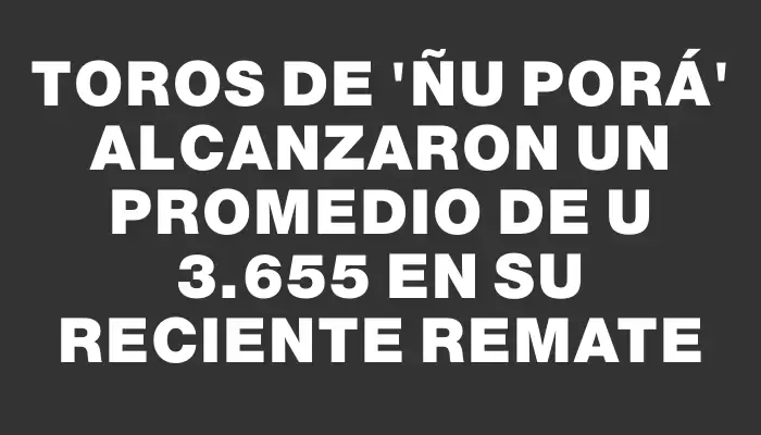 Toros de “Ñu Porá” alcanzaron un promedio de U$s 3.655 en su reciente remate