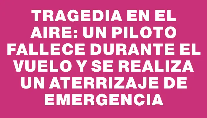 Tragedia en el aire: un piloto fallece durante el vuelo y se realiza un aterrizaje de emergencia