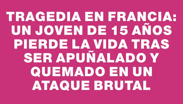 Tragedia en Francia: un joven de 15 años pierde la vida tras ser apuñalado y quemado en un ataque brutal