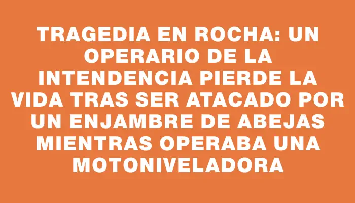 Tragedia en Rocha: un operario de la Intendencia pierde la vida tras ser atacado por un enjambre de abejas mientras operaba una motoniveladora