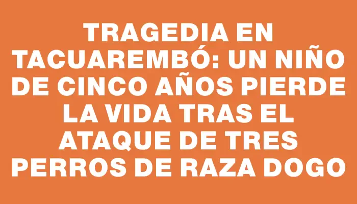 Tragedia en Tacuarembó: un niño de cinco años pierde la vida tras el ataque de tres perros de raza dogo