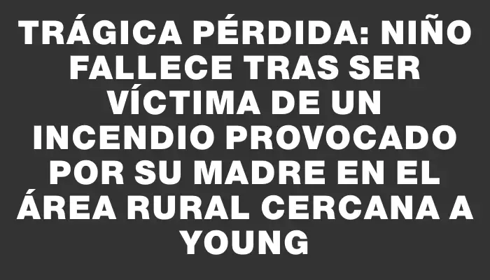 Trágica pérdida: niño fallece tras ser víctima de un incendio provocado por su madre en el área rural cercana a Young