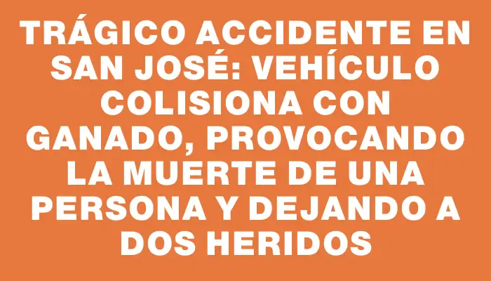 Trágico accidente en San José: vehículo colisiona con ganado, provocando la muerte de una persona y dejando a dos heridos