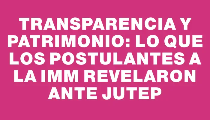 Transparencia y patrimonio: lo que los postulantes a la Imm revelaron ante Jutep