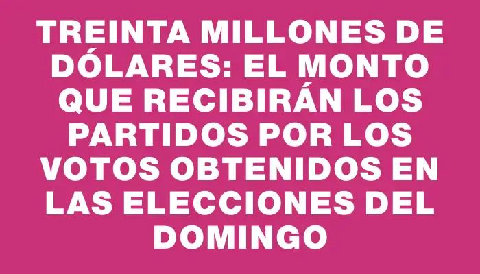 Treinta millones de dólares: el monto que recibirán los partidos por los votos obtenidos en las elecciones del domingo