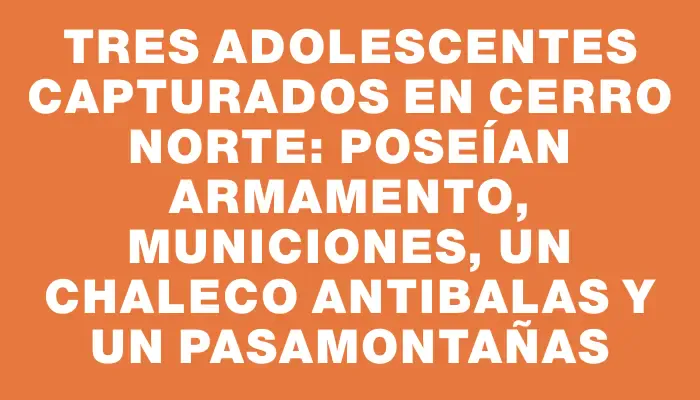 Tres adolescentes capturados en Cerro Norte: poseían armamento, municiones, un chaleco antibalas y un pasamontañas