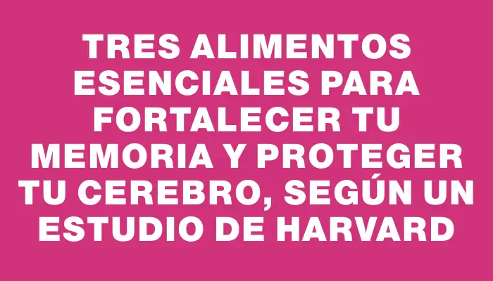 Tres alimentos esenciales para fortalecer tu memoria y proteger tu cerebro, según un estudio de Harvard