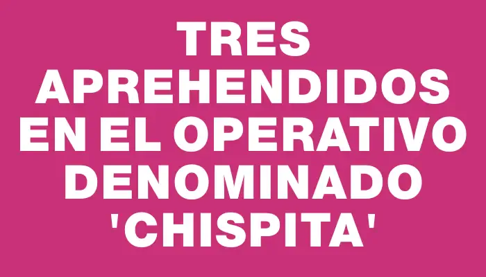 Tres aprehendidos en el operativo denominado “Chispita”