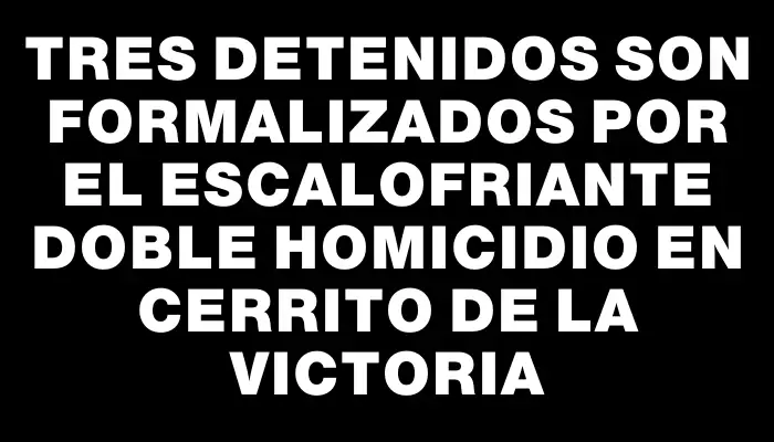 Tres detenidos son formalizados por el escalofriante doble homicidio en Cerrito de la Victoria