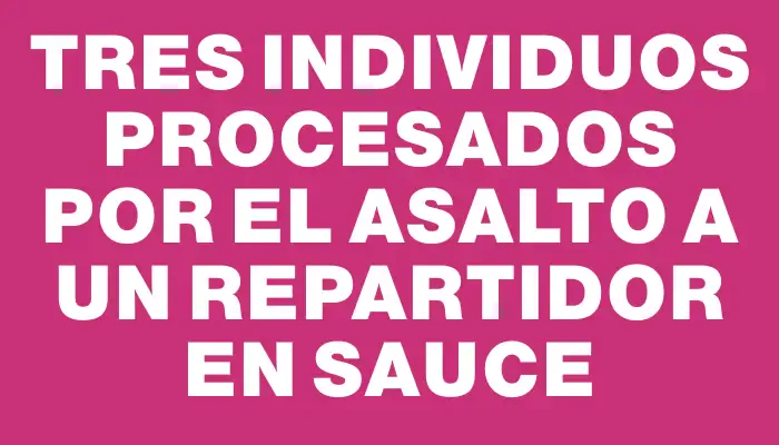 Tres individuos procesados por el asalto a un repartidor en Sauce