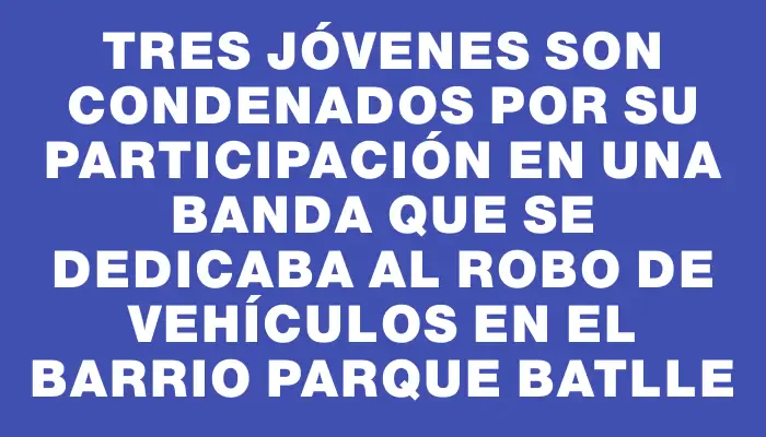 Tres jóvenes son condenados por su participación en una banda que se dedicaba al robo de vehículos en el barrio Parque Batlle