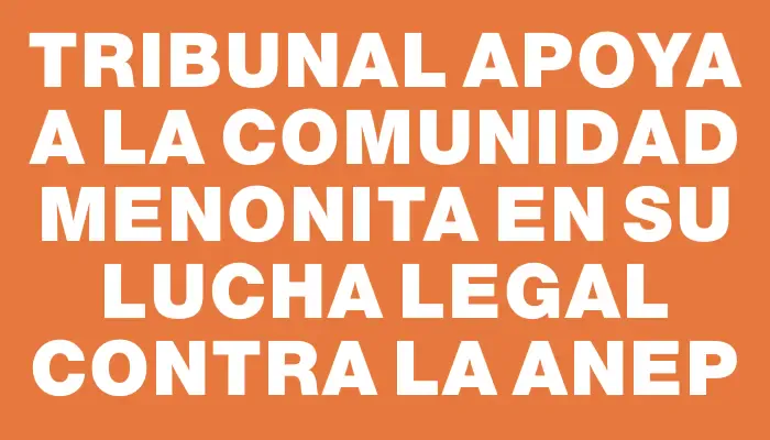 Tribunal apoya a la comunidad menonita en su lucha legal contra la Anep