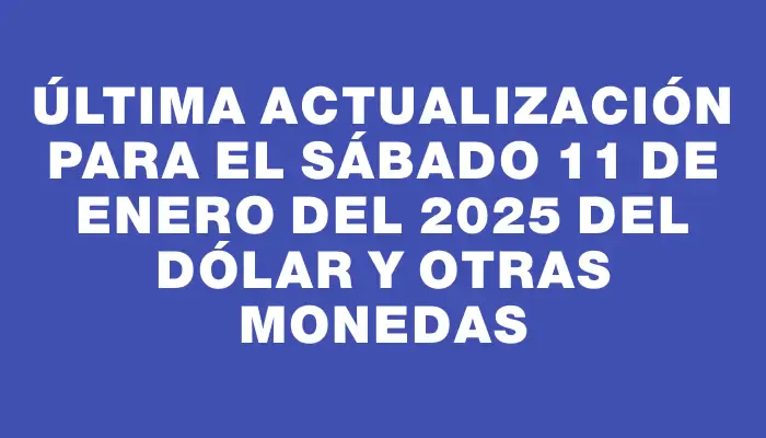 Última actualización para el Sábado 11 de enero del 2025 del dólar y otras monedas