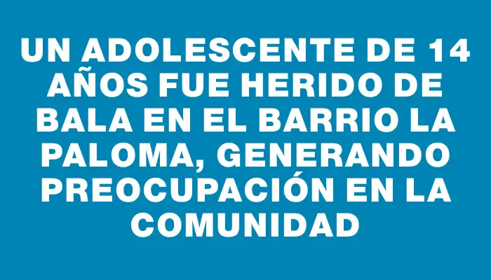 Un adolescente de 14 años fue herido de bala en el barrio La Paloma, generando preocupación en la comunidad