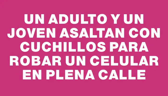 Un adulto y un joven asaltan con cuchillos para robar un celular en plena calle