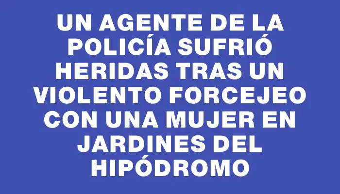 Un agente de la policía sufrió heridas tras un violento forcejeo con una mujer en Jardines del Hipódromo