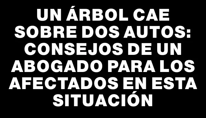 Un árbol cae sobre dos autos: Consejos de un abogado para los afectados en esta situación