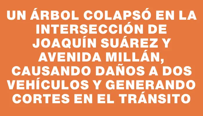 Un árbol colapsó en la intersección de Joaquín Suárez y avenida Millán, causando daños a dos vehículos y generando cortes en el tránsito