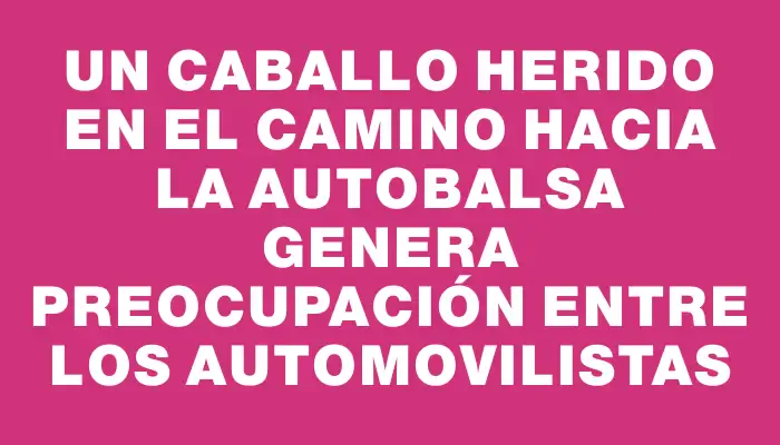 Un caballo herido en el camino hacia la Autobalsa genera preocupación entre los automovilistas