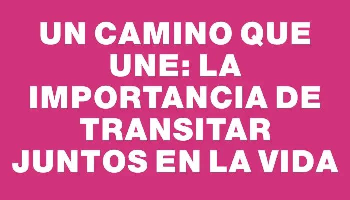 Un camino que une: la importancia de transitar juntos en la vida