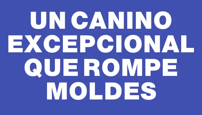 Un canino excepcional que rompe moldes