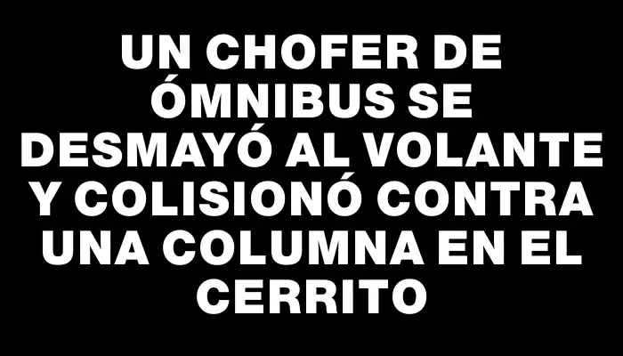 Un chofer de ómnibus se desmayó al volante y colisionó contra una columna en el Cerrito