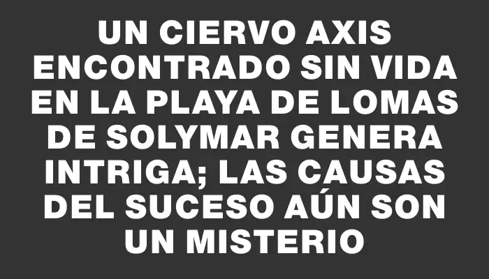 Un ciervo axis encontrado sin vida en la playa de Lomas de Solymar genera intriga; las causas del suceso aún son un misterio